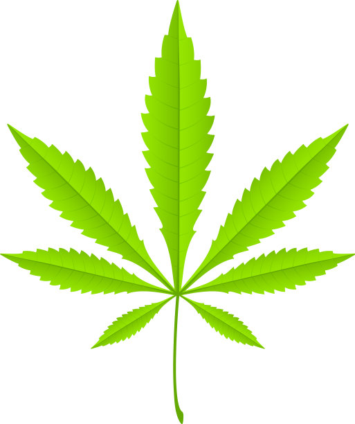 绿色的大麻叶图片下载