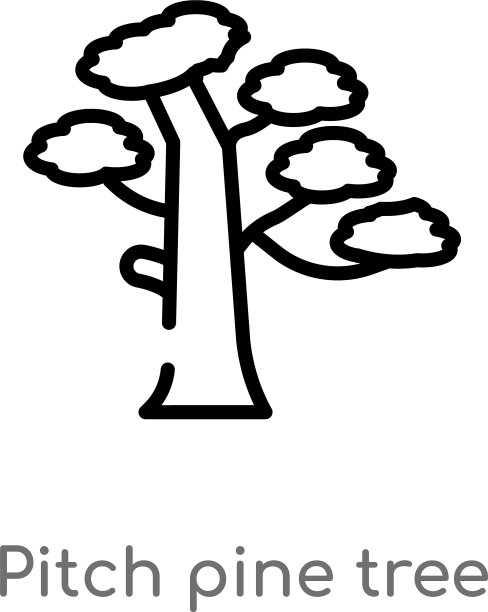 轮廓沥青松树图标孤立的黑色图片下载