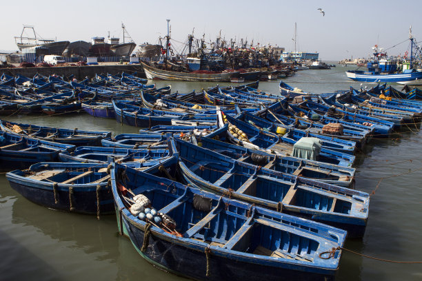 摩洛哥,Essaouira图片下载