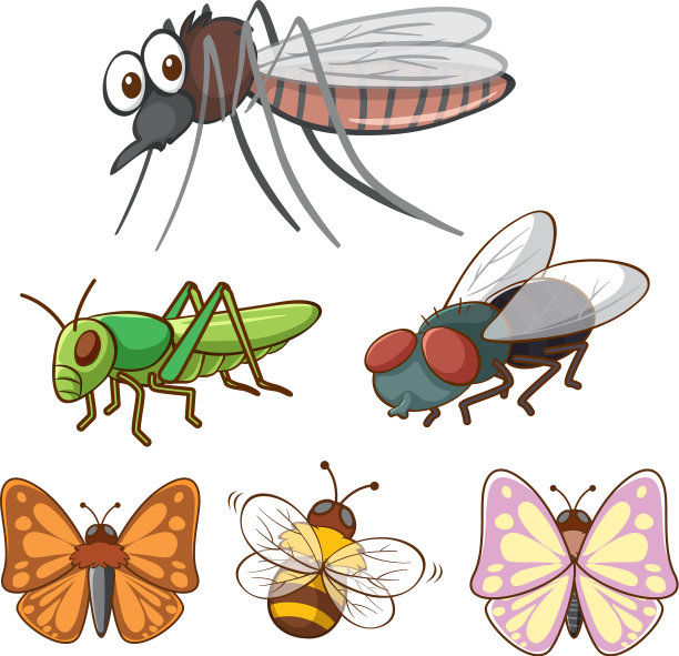 孤立图片不同的昆虫图片下载