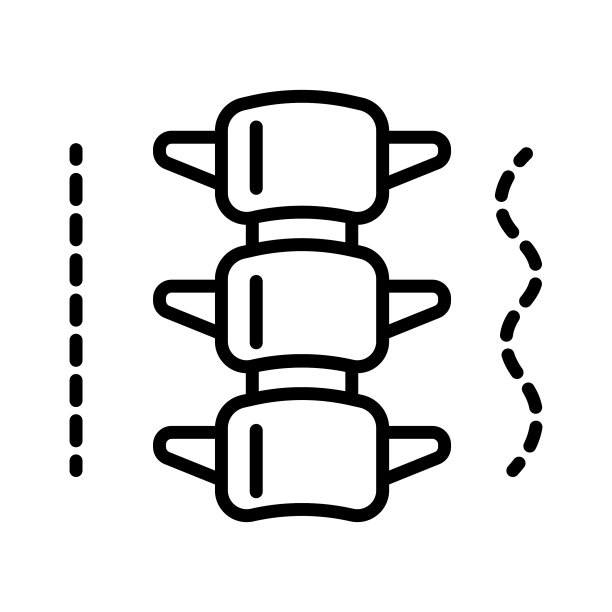 脊柱或脊柱的解剖结构图片下载