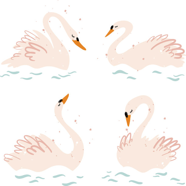 色彩柔和的优雅天鹅图片下载