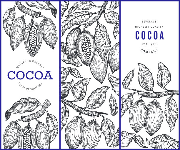 可可横幅设置巧克力可可豆图片下载