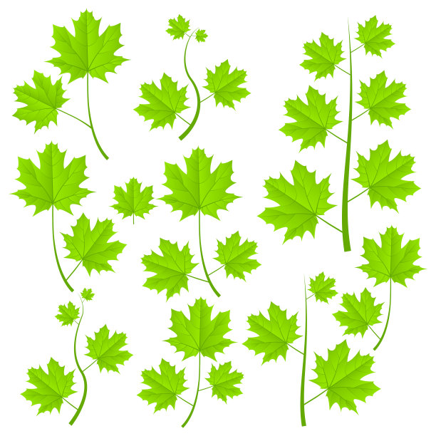 绿色植物组图片下载