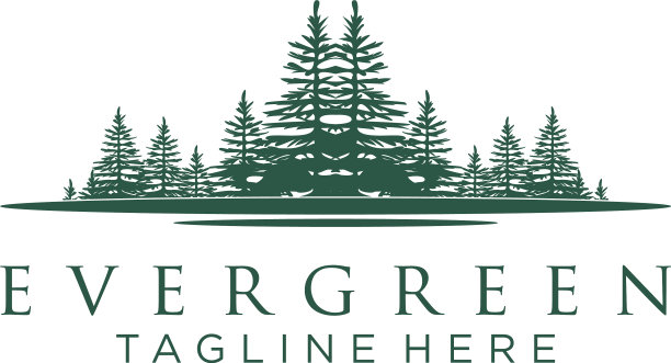 常绿松树、云杉、雪松标志设计图片下载