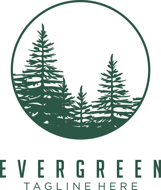 常绿松树、云杉、雪松标志设计图片下载