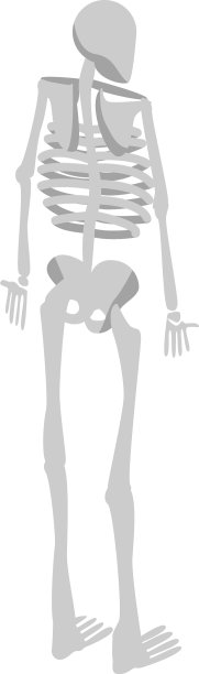 背部人体骨骼图标等距样式图片下载