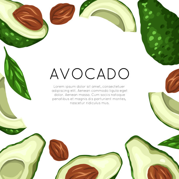 方形卡与牛油果和放置文本图片下载