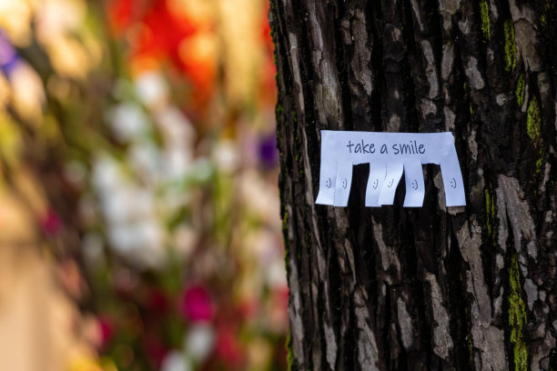 树干上写着“取一个微笑”和“取一个微笑”符号，标志准备撕掉，散焦散焦背景图像图片下载