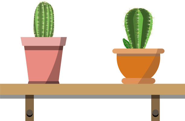 2盆栽仙人掌植物在吸引人的色彩图片下载