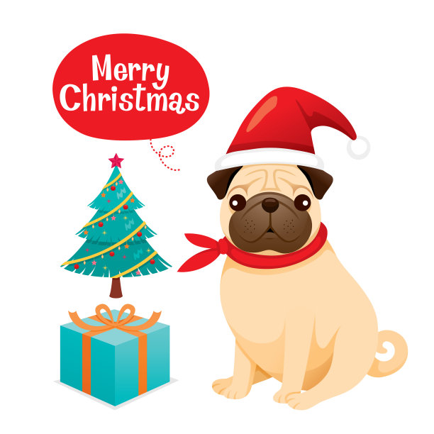 哈巴狗戴着圣诞帽和礼盒图片下载