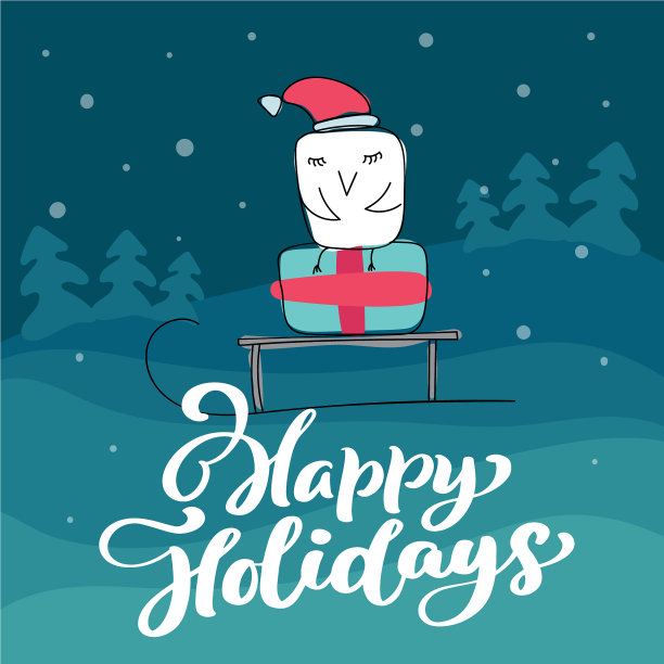 可爱的白色猫头鹰在圣诞雪橇上图片下载