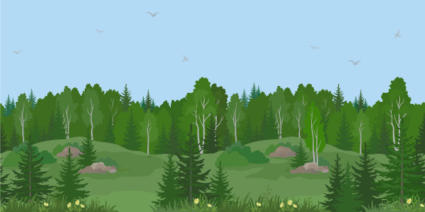 无缝景观夏季森林图片下载