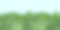 无缝景观夏季森林图片下载