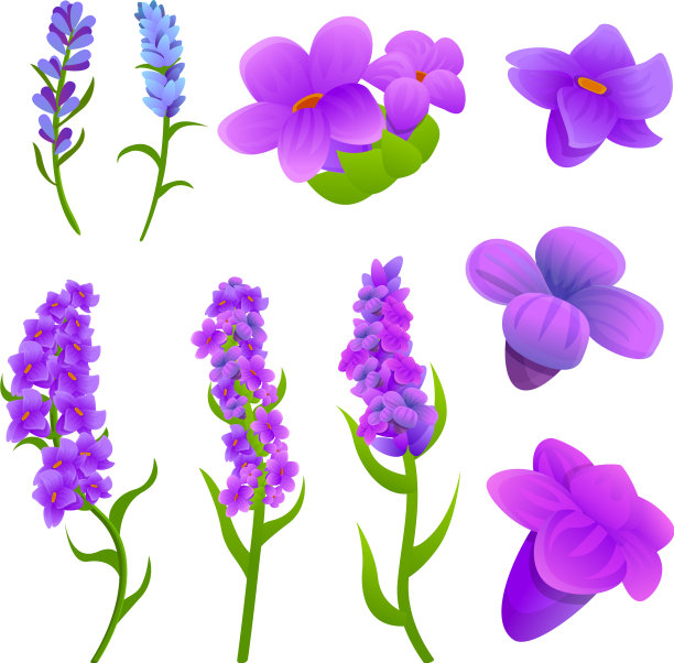 薰衣草图标设置卡通风格图片下载