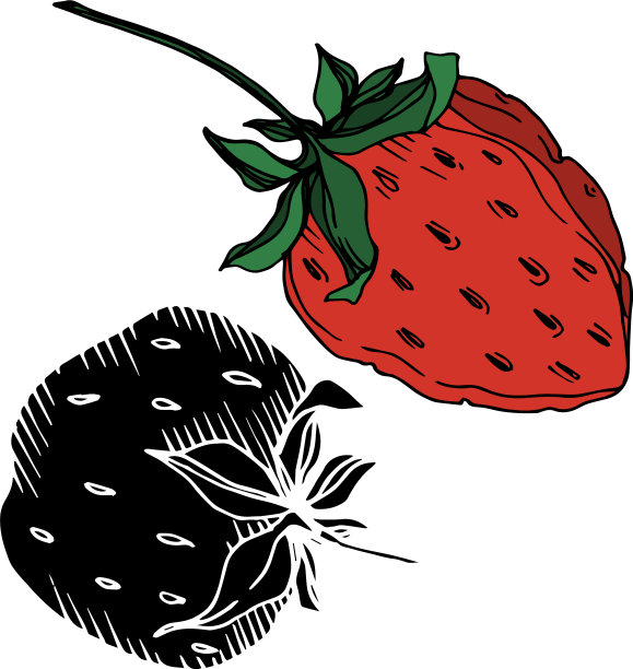 草莓新鲜浆果健康食品黑图片下载