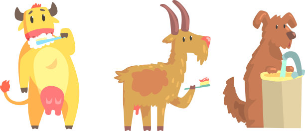 可爱的动物洗澡设置卫生和照顾图片下载