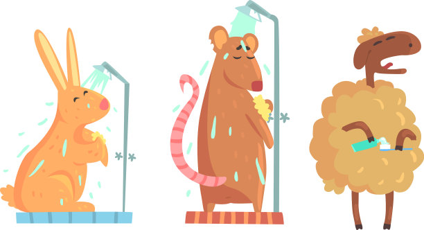 可爱的动物洗澡设置卫生和照顾图片下载