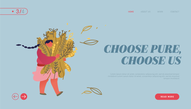 用于烹饪和草药香味的调味料和香料图片下载