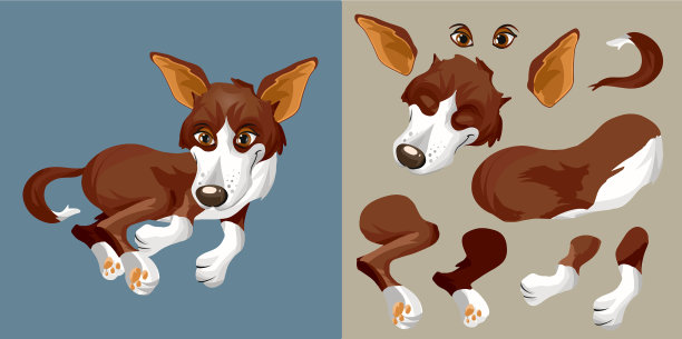 棕色的白色的狗狗躺在它的一边和休息图片下载