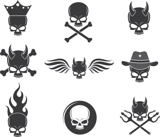 颅骨骨标志图片下载