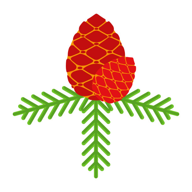 用锥形的冷杉树枝做圣诞花环图片下载