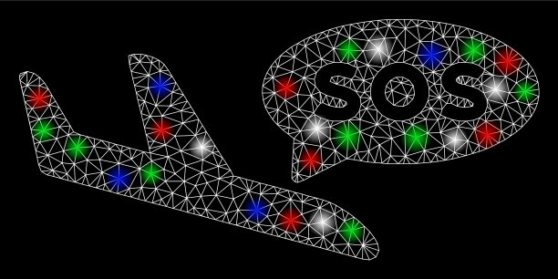 亮网飞机残骸SOS信息图片下载