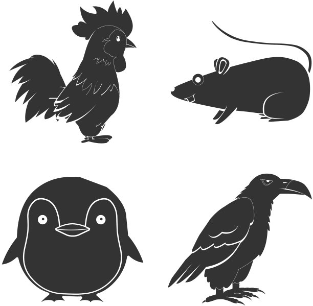 Adobe r版本50 2级仿真图片下载