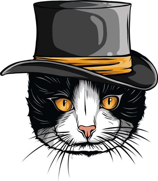 戴着灰色帽子的搞笑英国猫潮人图片下载