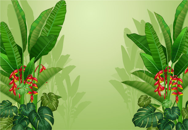 凉爽的森林与热带植物卡通设置图片下载