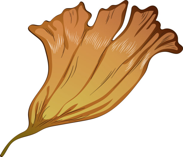 秋天银杏叶黄红相间图片下载