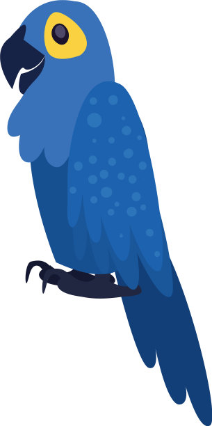 白色背景上的蓝色鹦鹉鸟图片下载