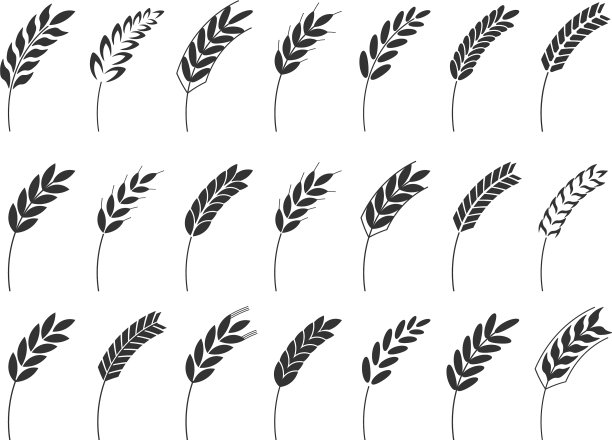 谷粒谷穗图标形状黑色图片下载