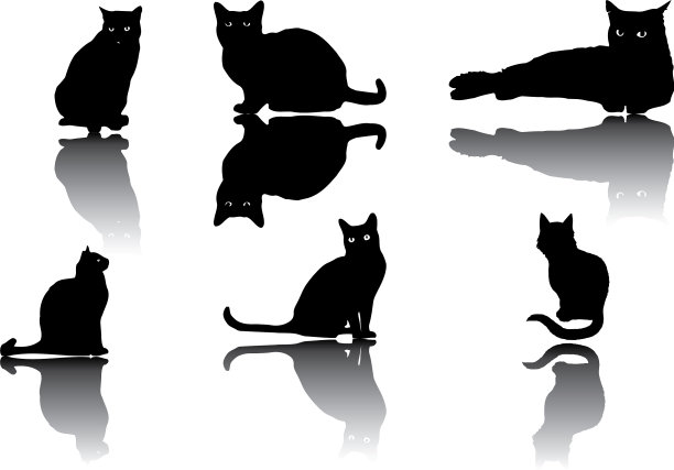 猫的图标图片下载