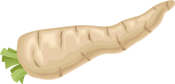 防风草根，绿叶切下的物品图片下载