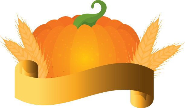 孤立的南瓜设计图片下载