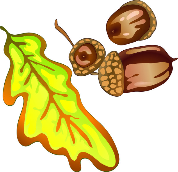 秋日黄叶栎叶植物图片下载