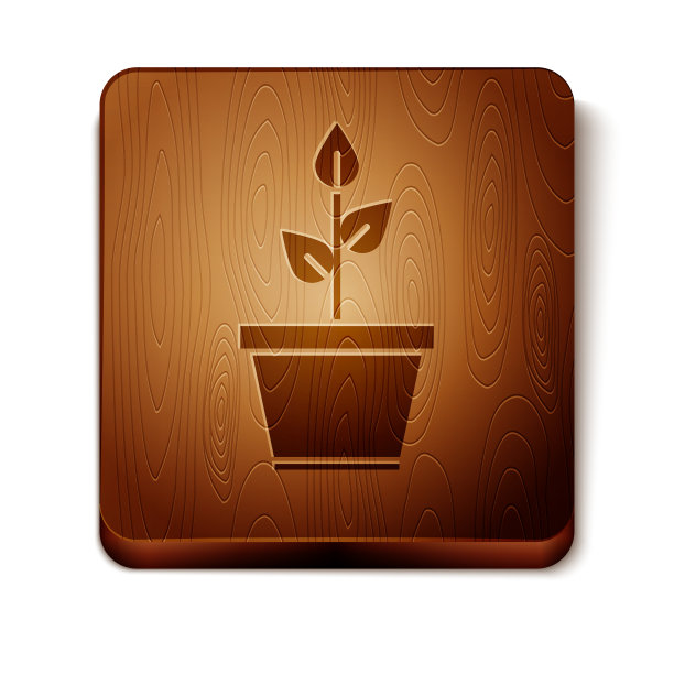 褐色植株在盆上孤立白色图标图片下载