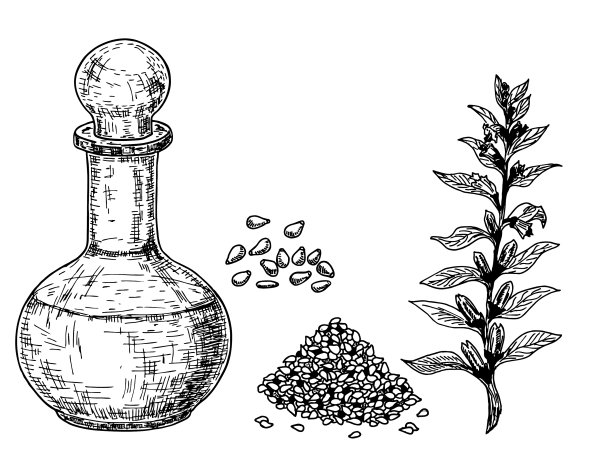 麻油手绘的图片下载
