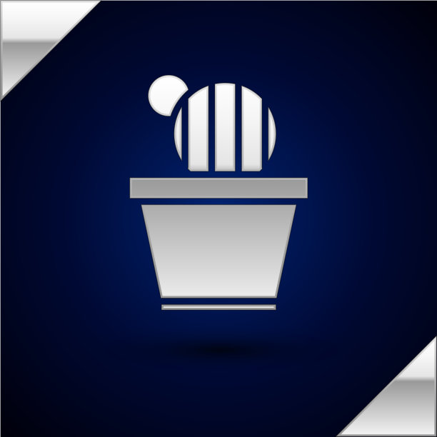 银仙人掌和多汁的花盆图标孤立图片下载