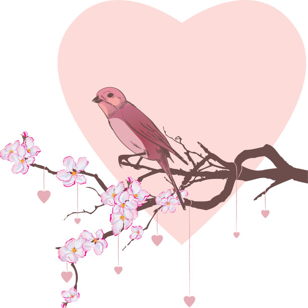 鸟心，枝樱桃树图片下载