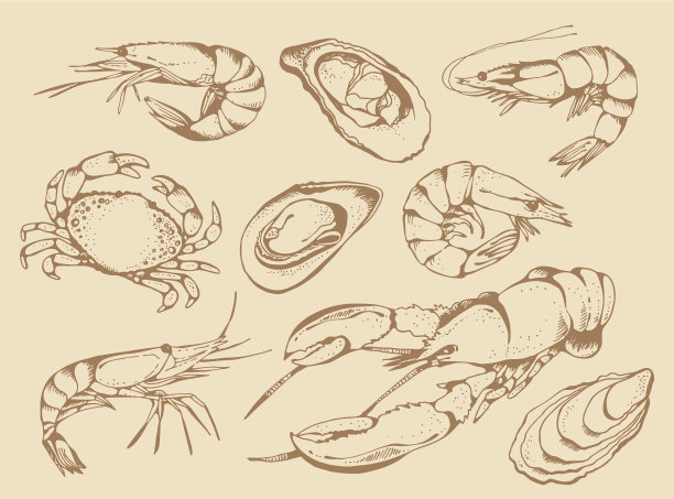 海鲜组集合图片下载