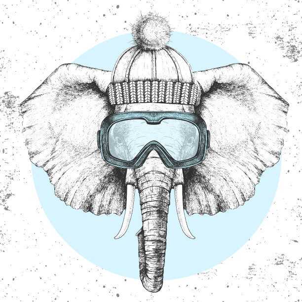 时髦的动物大象在冬天的帽子图片下载