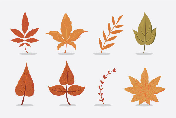 设置美丽多彩的秋叶上图片下载