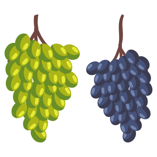 葡萄串矢量卡通插图孤立在一个白色的背景。图片下载