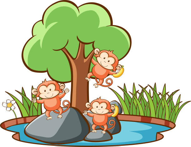 池塘里猴子的场景图片下载