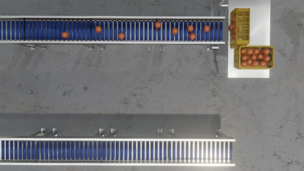 生产仓库橙子的卸货和包装图片下载