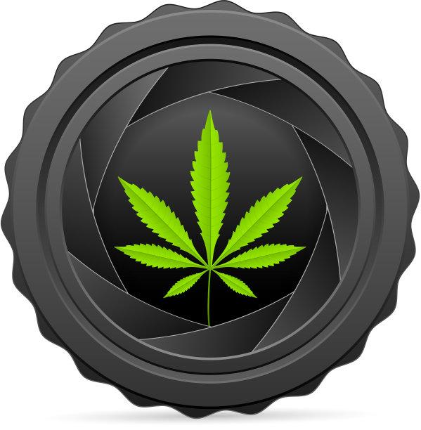 相机快门用大麻叶图片下载