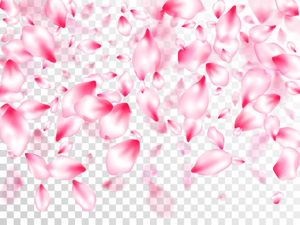 日本樱花的粉红色飞花图片下载