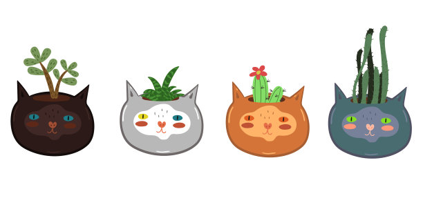 为室内植物设置花盆图片下载